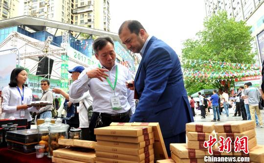 客商“零距离”感受宜昌茶全产业链过程。 王康明 摄