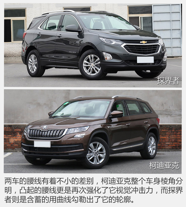 山姆大叔偶遇棕熊 谁才是最后的胜利者