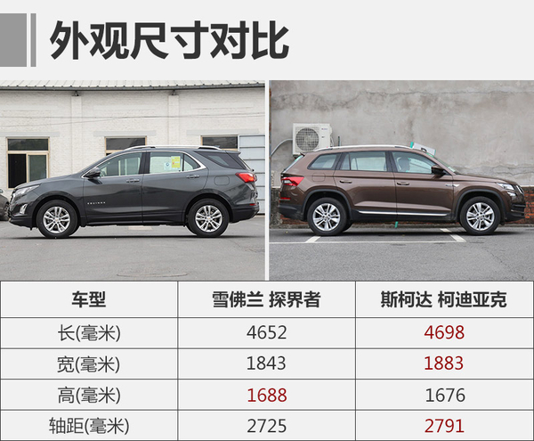 山姆大叔偶遇棕熊 谁才是最后的胜利者