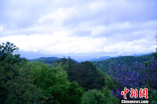 傍晚,雨势减小。空山新雨,浸润后的山村宛如新生。 邢翀 摄