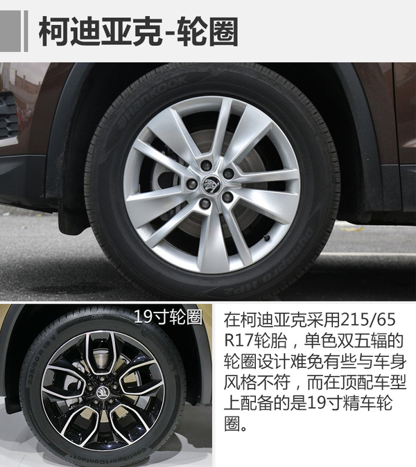 山姆大叔偶遇棕熊 谁才是最后的胜利者