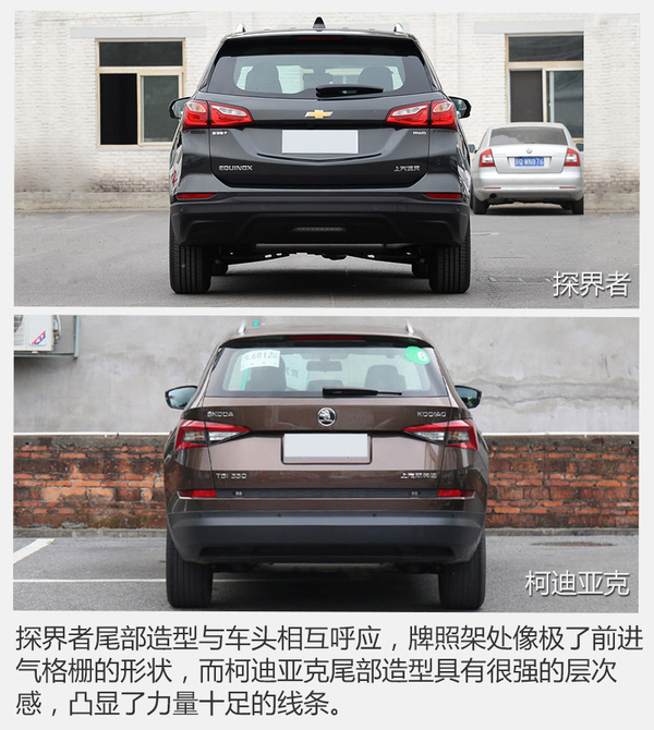 山姆大叔偶遇棕熊 谁才是最后的胜利者