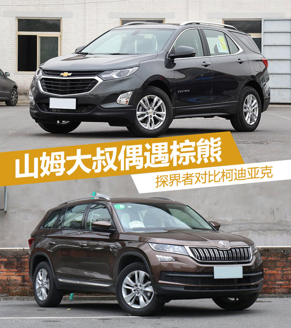 山姆大叔偶遇棕熊 谁才是最后的胜利者