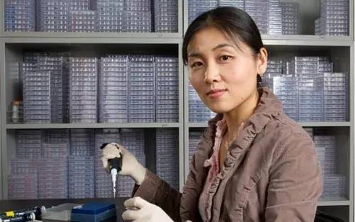 清华女教授跳槽普林斯顿:是人才流失,还是人才