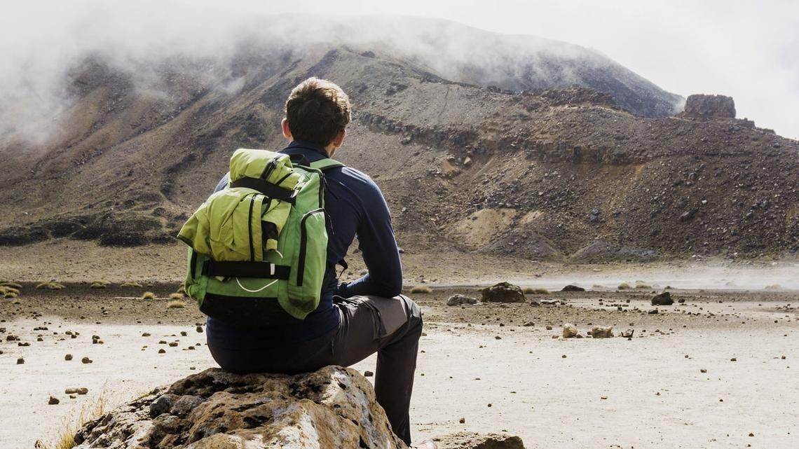 英媒:外国游客过多涌入让新西兰道路状况陷入