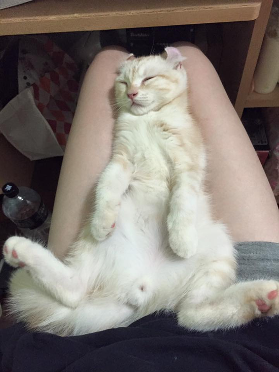 每日轻松一刻5月11日 屌了!共享主义的未来是共享Wife