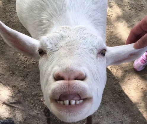 每日轻松一刻5月11日 屌了!共享主义的未来是共享Wife