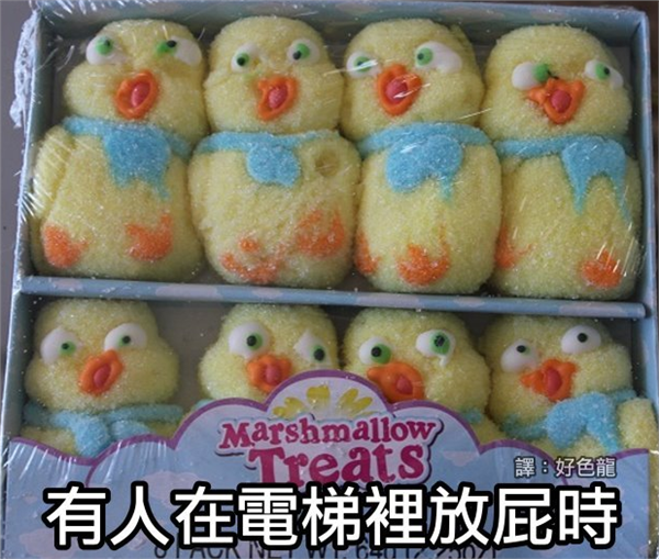 每日轻松一刻5月11日 屌了!共享主义的未来是共享Wife