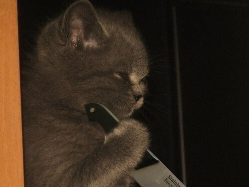 每日轻松一刻5月11日 屌了!共享主义的未来是共享Wife