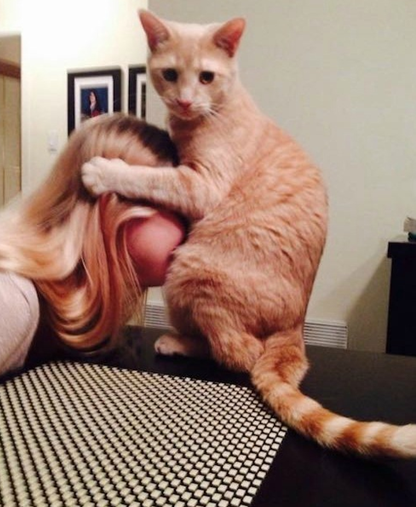 每日轻松一刻5月11日 屌了!共享主义的未来是共享Wife