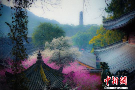 图为国清景区。主办方供图