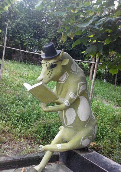 每日轻松一刻5月11日 屌了!共享主义的未来是共享Wife