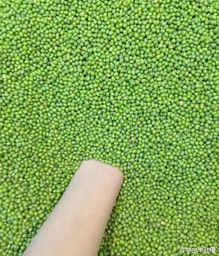 每日轻松一刻5月11日 屌了!共享主义的未来是共享Wife