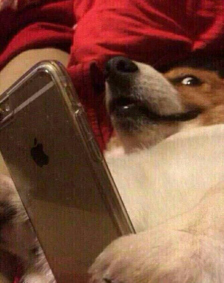 每日轻松一刻5月11日 屌了!共享主义的未来是共享Wife