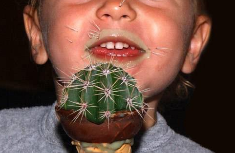 每日轻松一刻5月11日 屌了!共享主义的未来是共享Wife