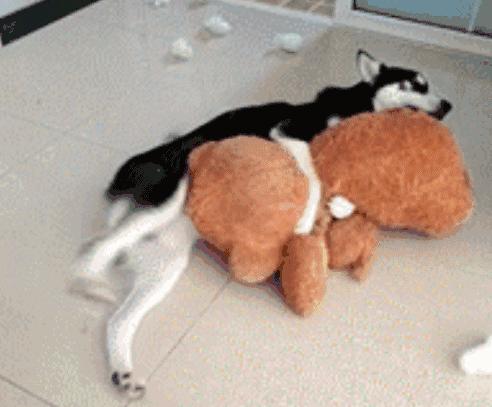 内涵搞笑:我是不会做出禽兽不如的事的!