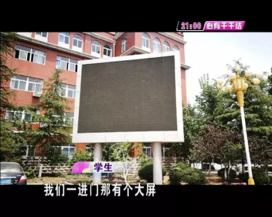 打鸟用什么工具好