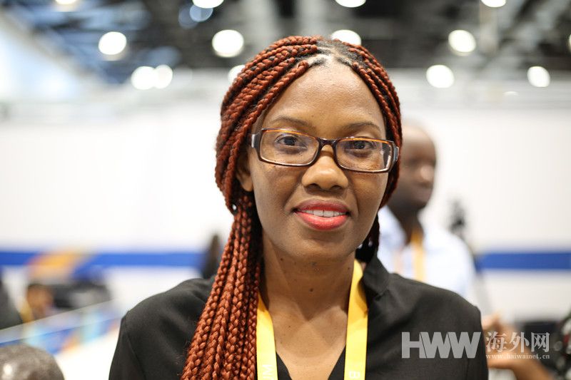 博茨瓦纳大象离奇死亡 非洲大象为何频现神秘死亡事件