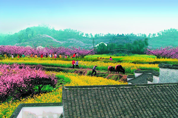 中国传统中的家规 之九十四 浙江杭州龙门古镇