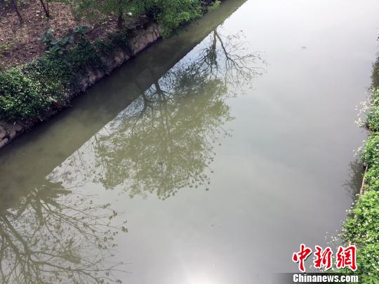雅瑶支涌实拍图片 赵雪峰 摄
