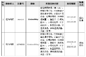 恒为科技(上海)股份有限公司首次公开发行股票