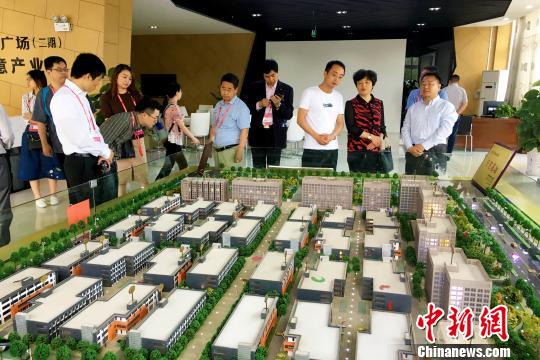 侨商在安徽省肥西县考察交流,寻找合作机遇。 张强 摄