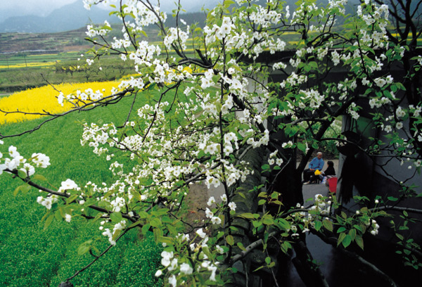 中国传统中的家规 之九十四 浙江杭州龙门古镇