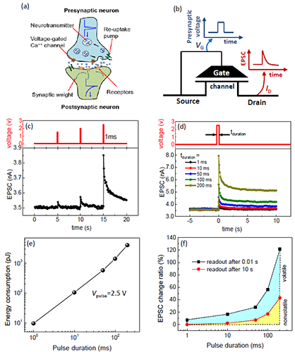 物理所在类神经突触晶体管和忆阻器研究中取得