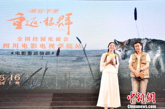 重返狼群 首站成都路演 导演自评电影 不专业