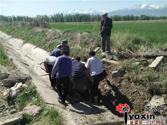 新疆各县市gdp沙湾县(3)