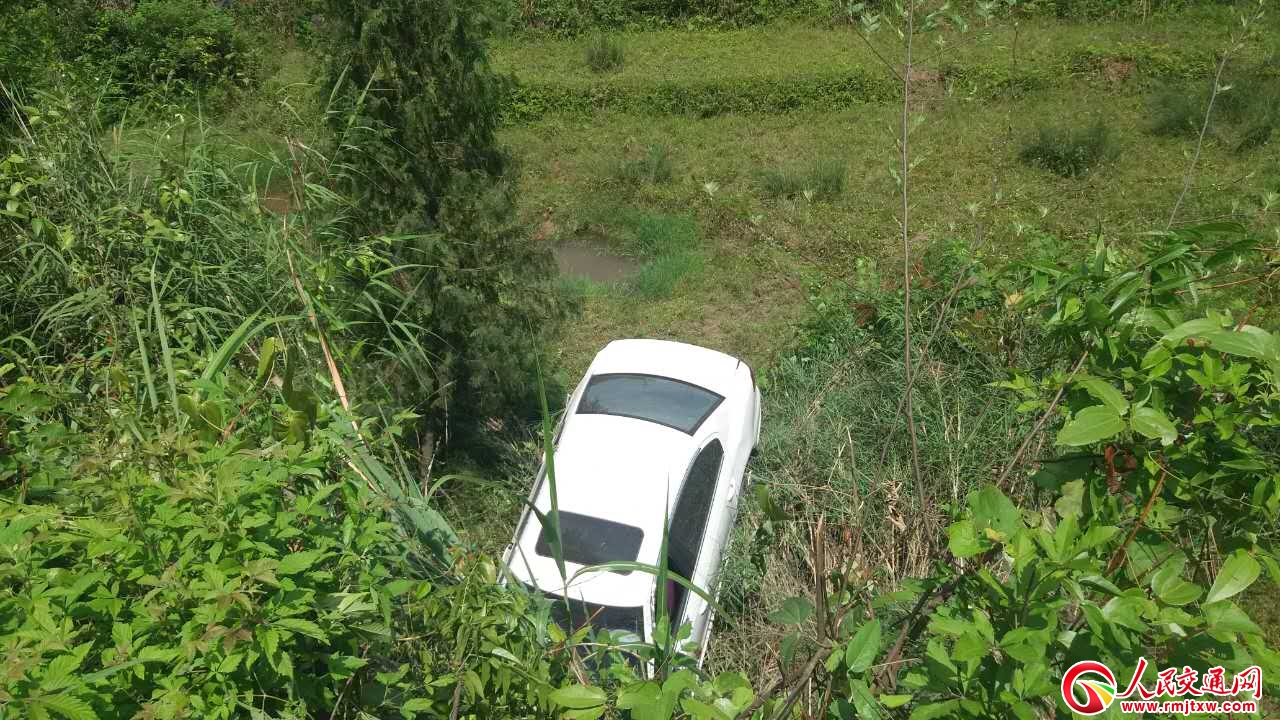女司机错把油门当刹车 幸好有惊无险|油门|刹车|轿车_新浪新闻
