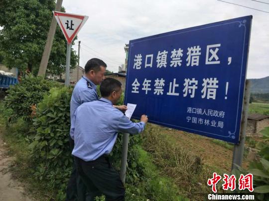 宁国市警方张贴公告 赵强 摄