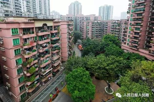 这个小区牛!业主自管,物业费十年没涨,还赚了五