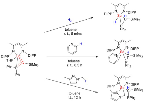 上海有机所在稀土金属卡宾配合物化学研究方面