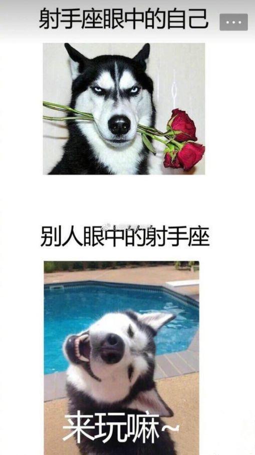 图文笑话:姑娘,你别看我长得丑,我是你妈钦点的女婿