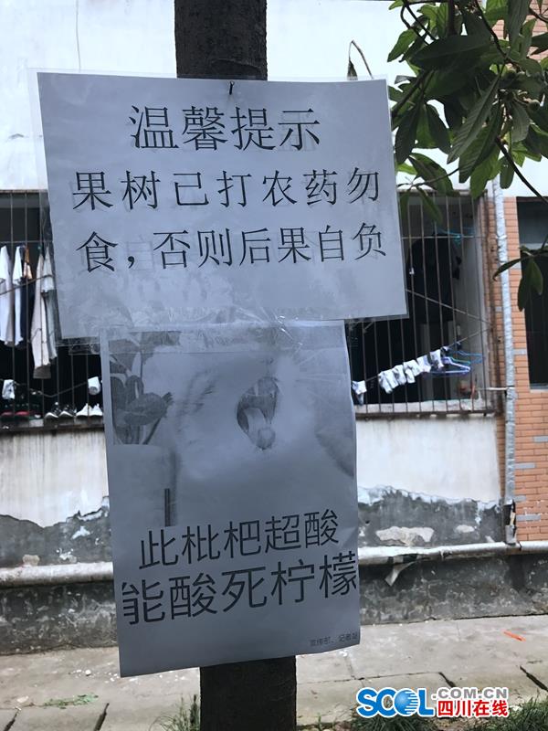 摘果子谁挂科!为防学生摘果子高校挂搞笑标语