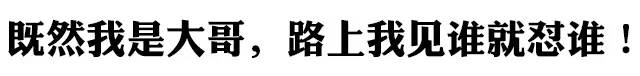 不愧是“神车”!这款SUV上街见谁怼谁!