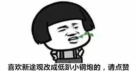 线条很硬 颜色很绿,大众新途观低趴姿态真是不务正业!