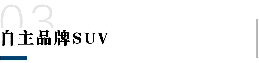 15万预算买什么车?!中国人最纠结的问题,终于有答案了!