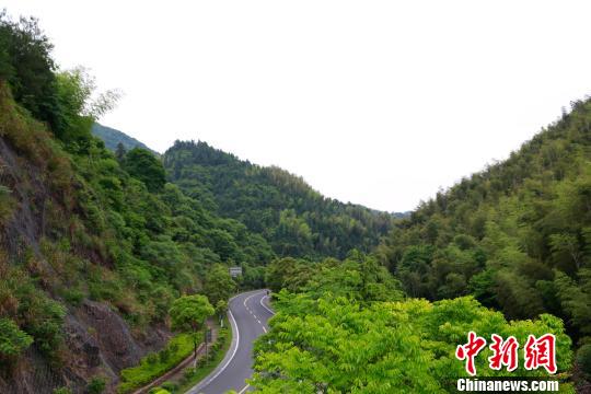 图为:浙江省江山市枫岭关附近的205国道。 王远 摄