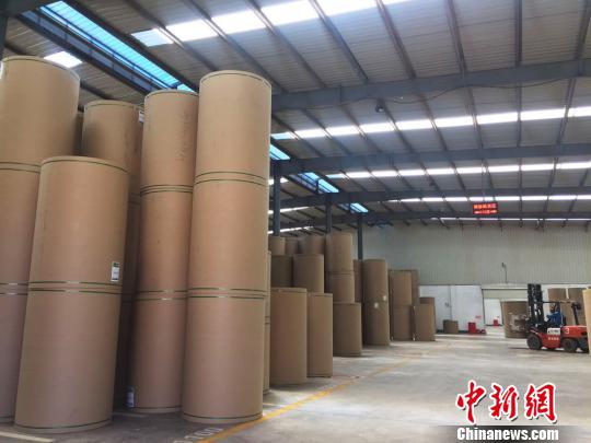 图为废纸循环再利用生产车间。 徐雪 摄