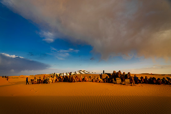 山东端午旅游景点_端午旅游收入