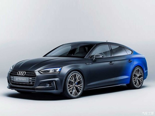 小众先进分子 奥迪A5 g-tron特别版官图