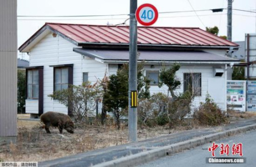 资料图:福岛灾区