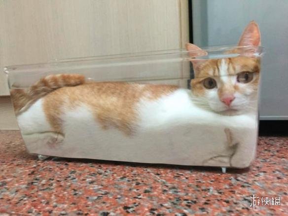 下面的鸡腿给你吃 囧图你永远无法理解女装大佬的思想