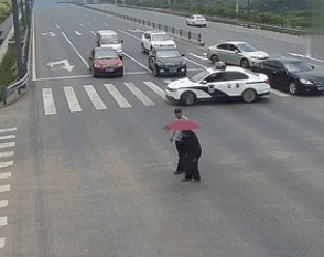 294_233gif 动态图 动图