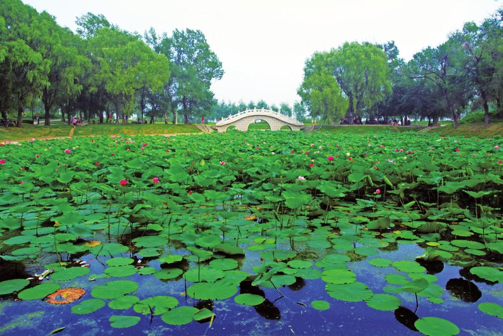 农安:迈进全域旅游时代|农安|旅游|波罗湖_新浪新闻