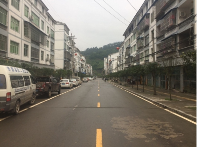 丰都县龙河镇:开展农村环境卫生综合整治