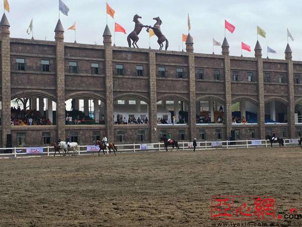 乌鲁木齐首届马术嘉年华活动在新疆神木源马术