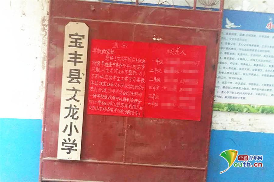河南省宝丰县教育局对当事文龙小学发布停止办学进行整顿的通知。